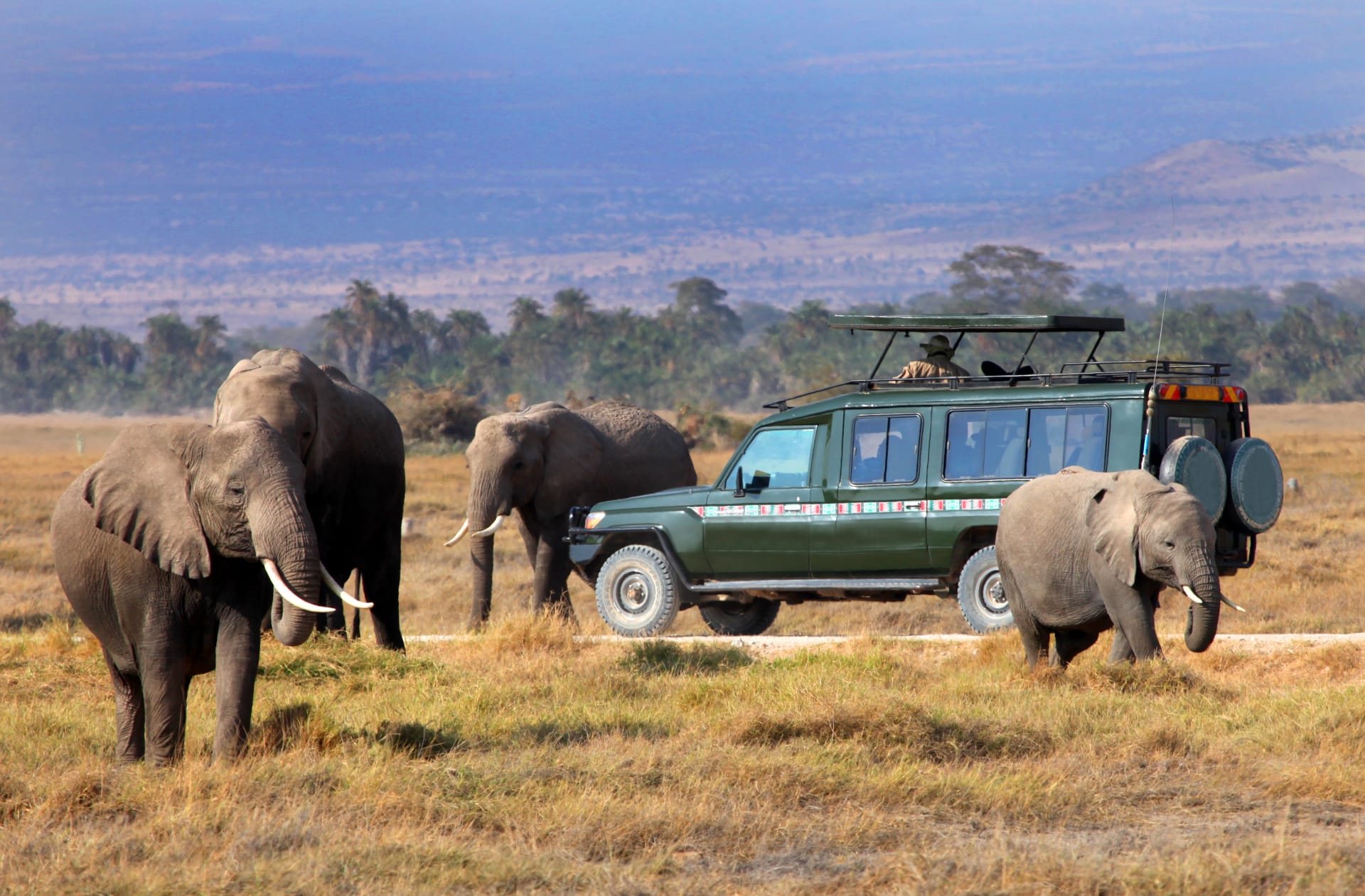 masai mara national reserve tours