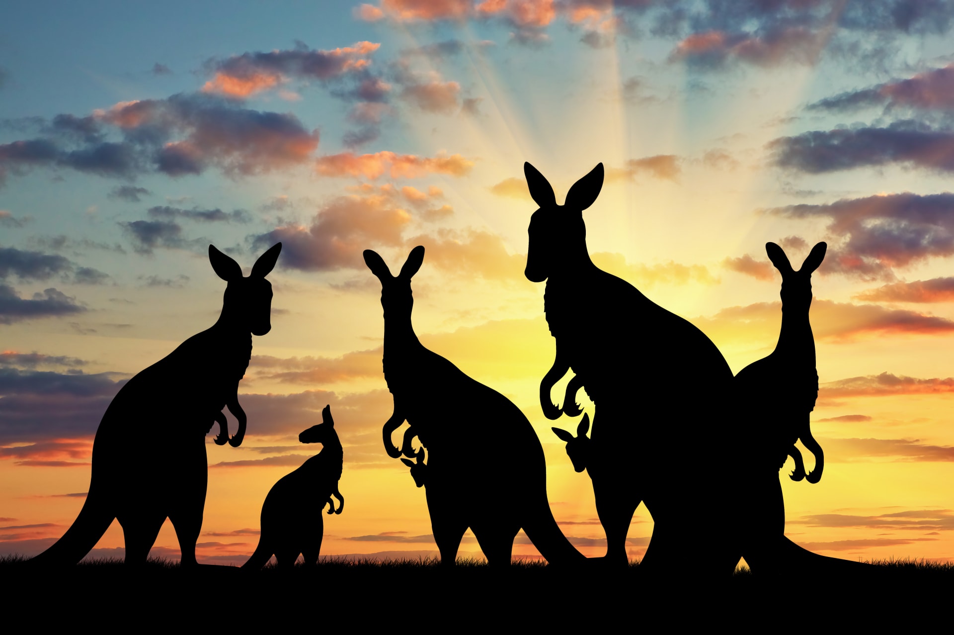 Aussie Tours Best Of Travel door Best of Travel
