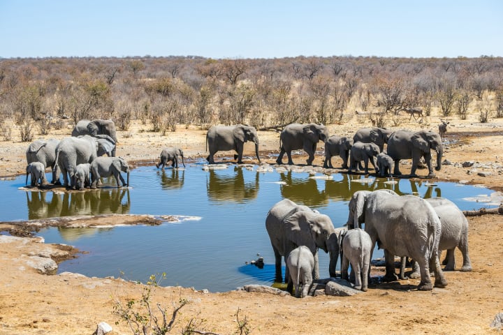 Namibië